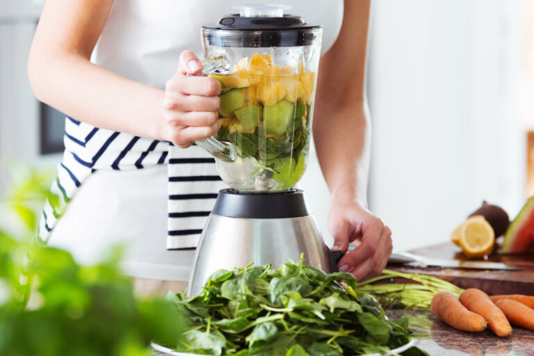CORAL blender BL-600
